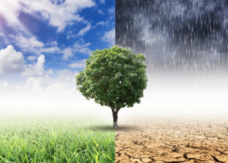 Super El Niño 2026: como o varejo alimentar pode se preparar